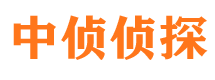 顺平调查取证